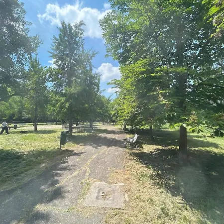 Very Comfortable Loft Design Mid-century Center Daire *