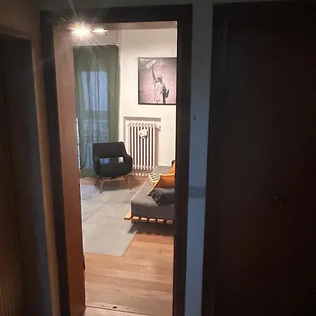 Very Comfortable Loft Design Mid-century Center Daire