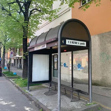 Very Comfortable Loft Design Mid-century Center Daire