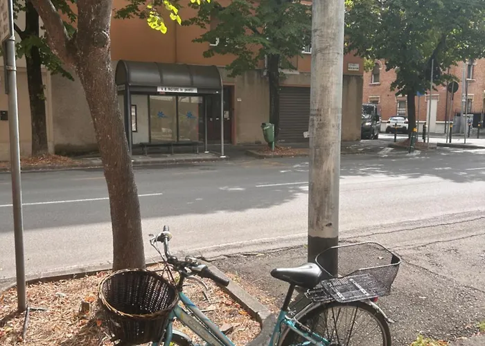 Very Comfortable Loft Design Mid-century Center * モデナ